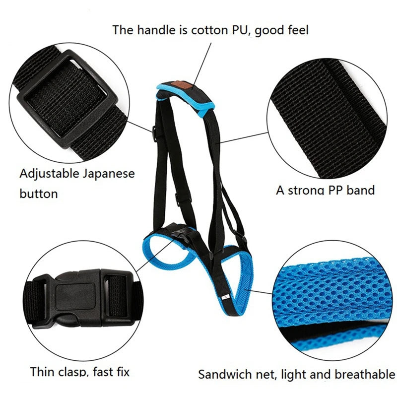 Dog Support Harness for Back Legs