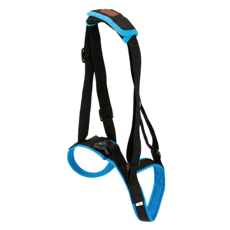 Dog Support Harness for Back Legs