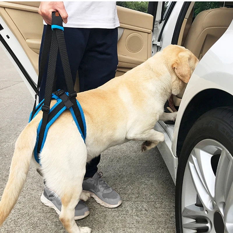 Dog Support Harness for Back Legs