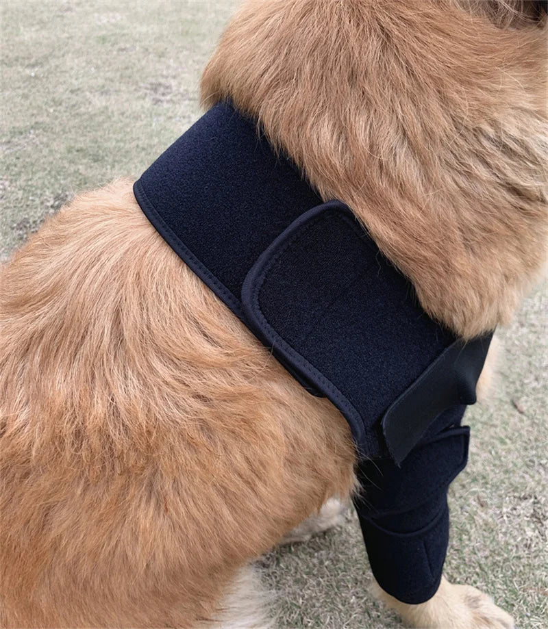 Anti-Lick Dog Elbow Brace Protector Soft Breathable Pain Relief  Shoulder Support Elbow Sleeves Pad for Canine Elbow Pet