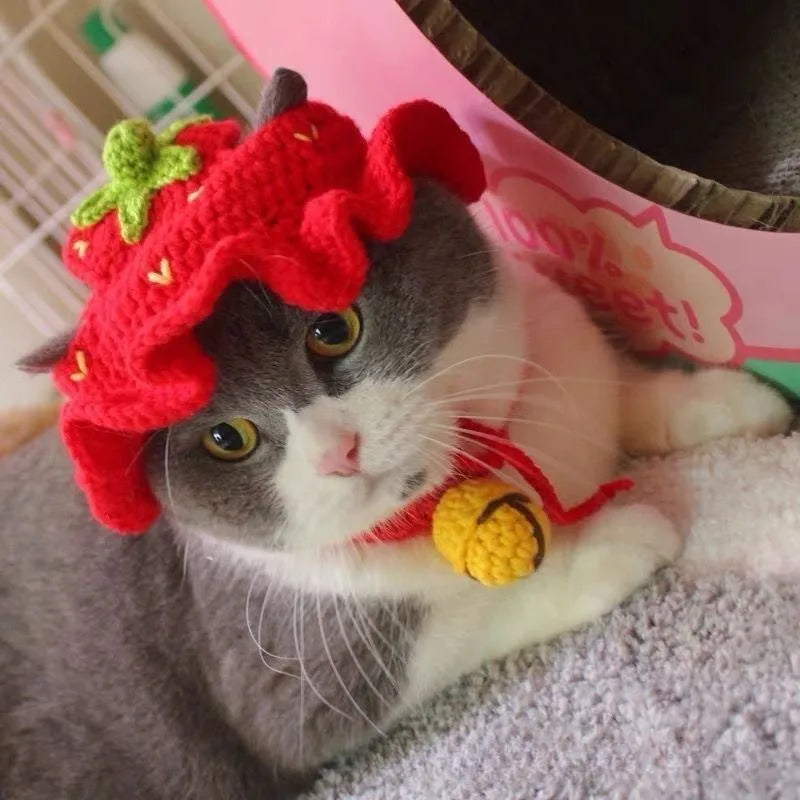 Spring Summer Cat Hat Elastic Cute Refined Knitted Pet Hat for Puppy Kittens Party Photo Shoot Props Decoration Cat Accessories